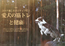 ガゼットJKCガゼット 2021年4月号