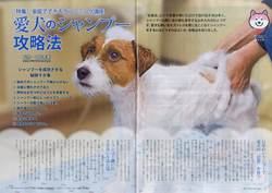 ガゼットJKCガゼット 2022年11月号