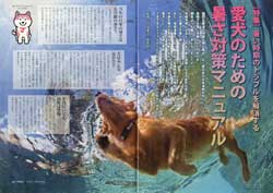 ガゼットJKCガゼット 2022年5月号