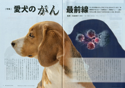 ガゼットJKCガゼット 2023年10月号