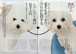 ガゼットJKCガゼット 2023年4月号