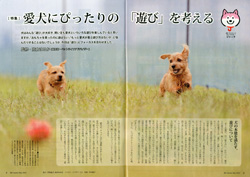 ガゼットJKCガゼット 2023年5月号