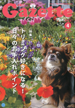 ガゼットJKCガゼット 2024年4月号