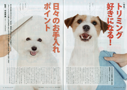 ガゼットJKCガゼット 2024年4月号