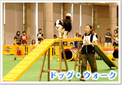 ドッグ・ウォーク
