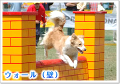 ウォール（壁）