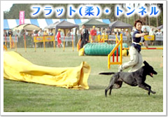フラット（柔）・トンネル