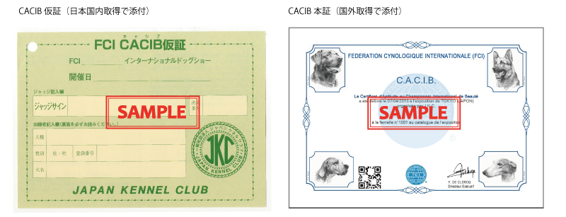 CACIB仮証と本証みほん
