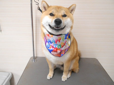 「シャンプー終わったよ」中野 浩江