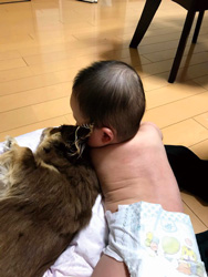 「 赤ちゃんの初めてのお友達」 内山 千恵