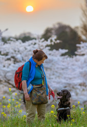 「 お花見帰り」 杉山 薫