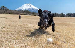 「狙う!!」 杉山 文子さん