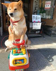 「交通安全」 スズキ ナツミさん