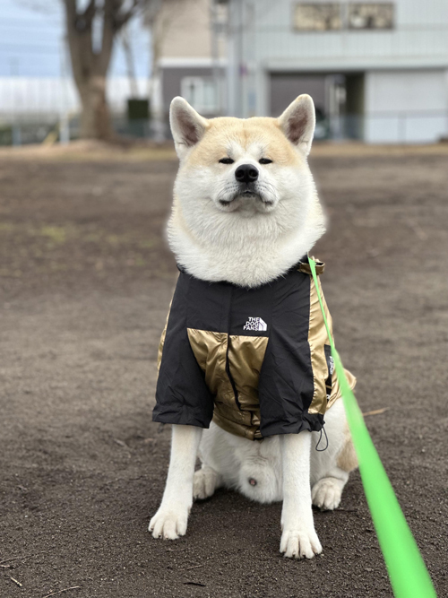 「動かないぞ」カサマ アユミさん