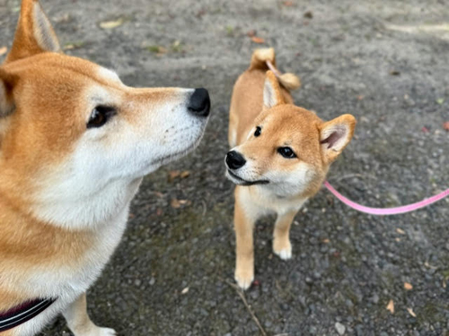 「兄貴どこ見てんのかな?」水野 守さん