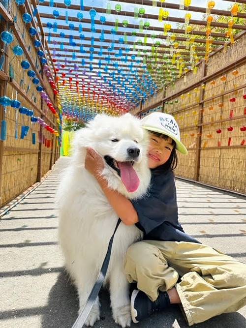 「初夏の彩り」楓 彩織さん